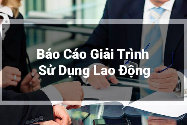 Báo Cáo Giải Trình Sử Dụng Lao Động